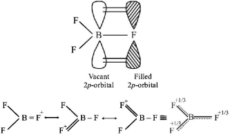 Chemical Bonding and Molecular Structure mcq solution image